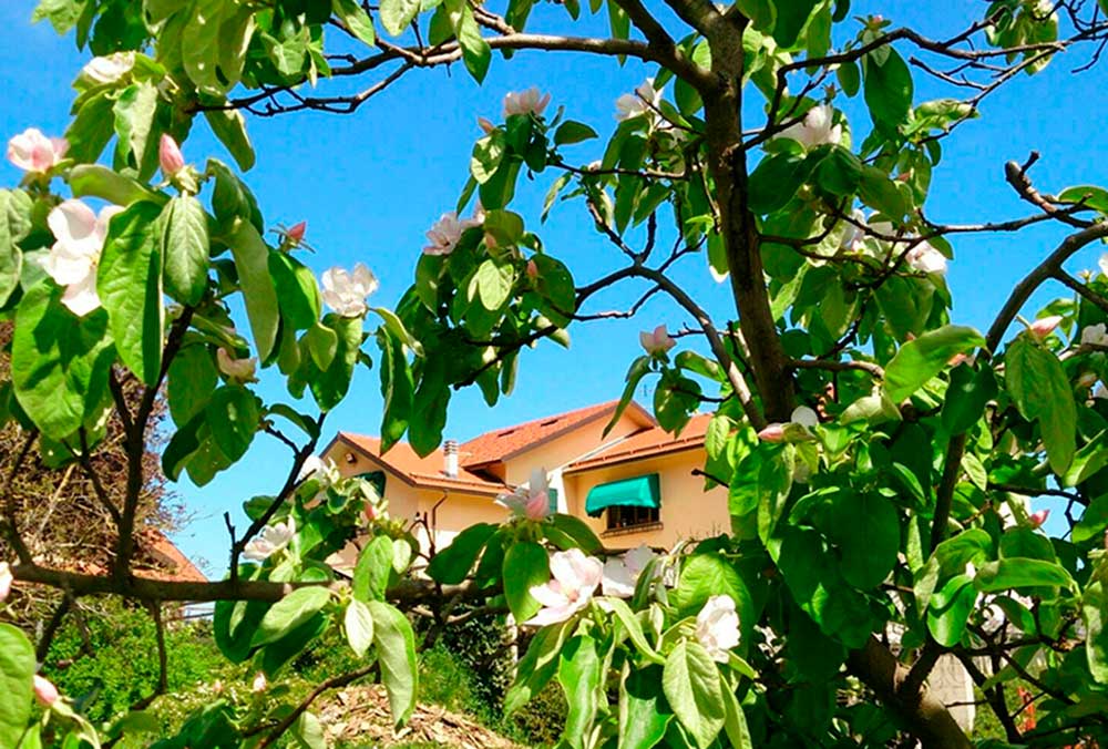 Azienda-agrituristica-Lavage-Genova-3-1